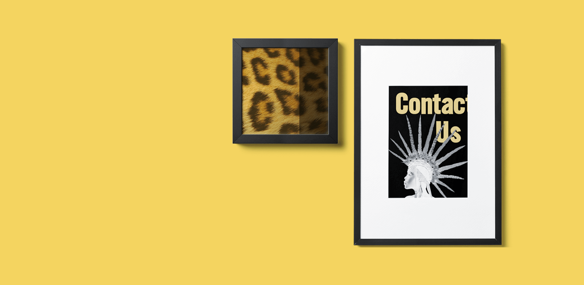 Contact JAiden Group